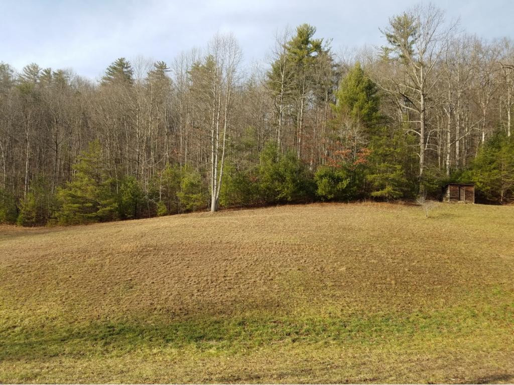 5537 Sink Valley Road Butler, TN 37640 - Photo 4 of 4 Photo 4