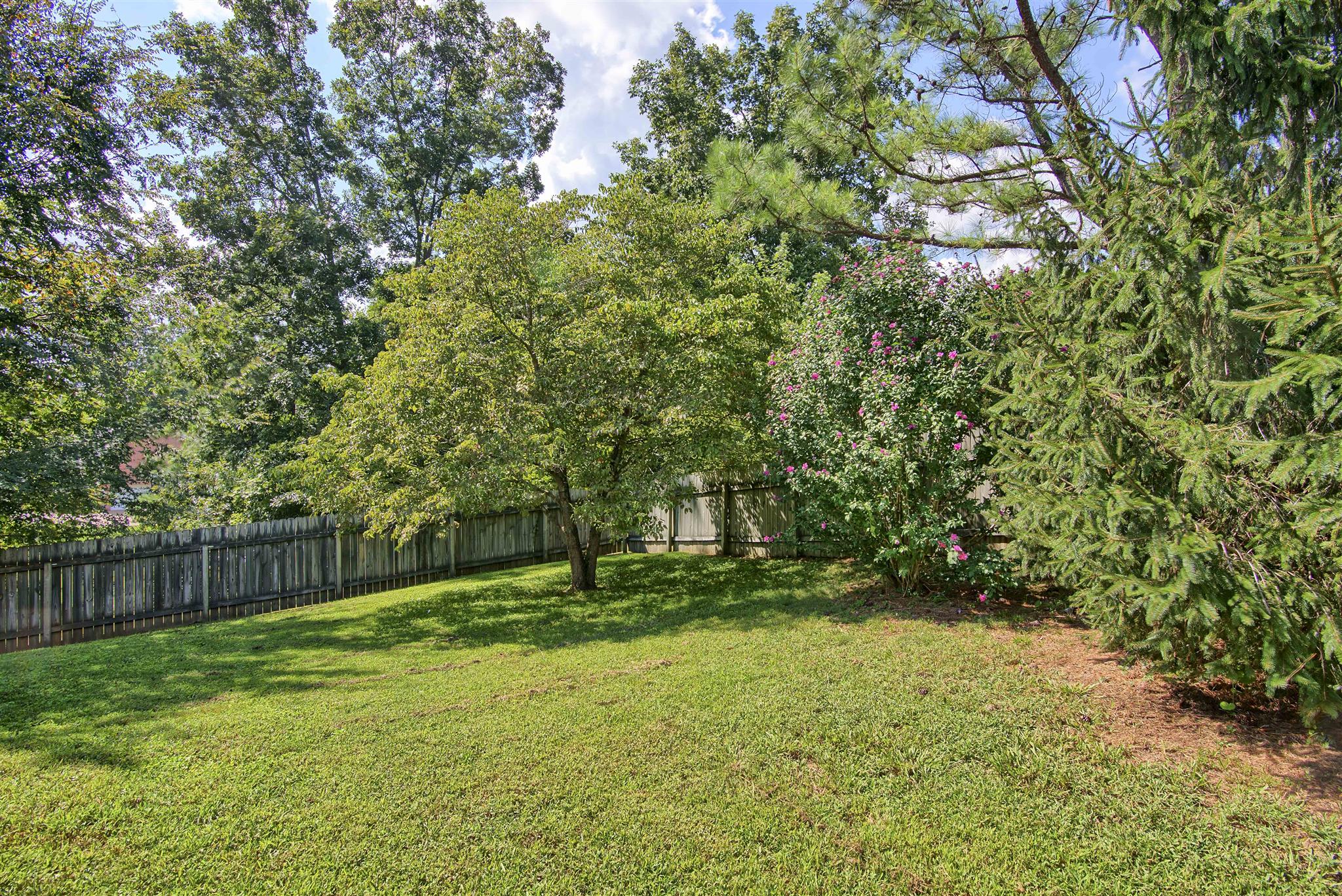 7544 Cherokee Hills Road Fairview, TN 37062 - Photo 5 of 19