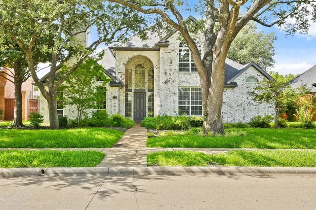 a view of a garden with plants and large trees