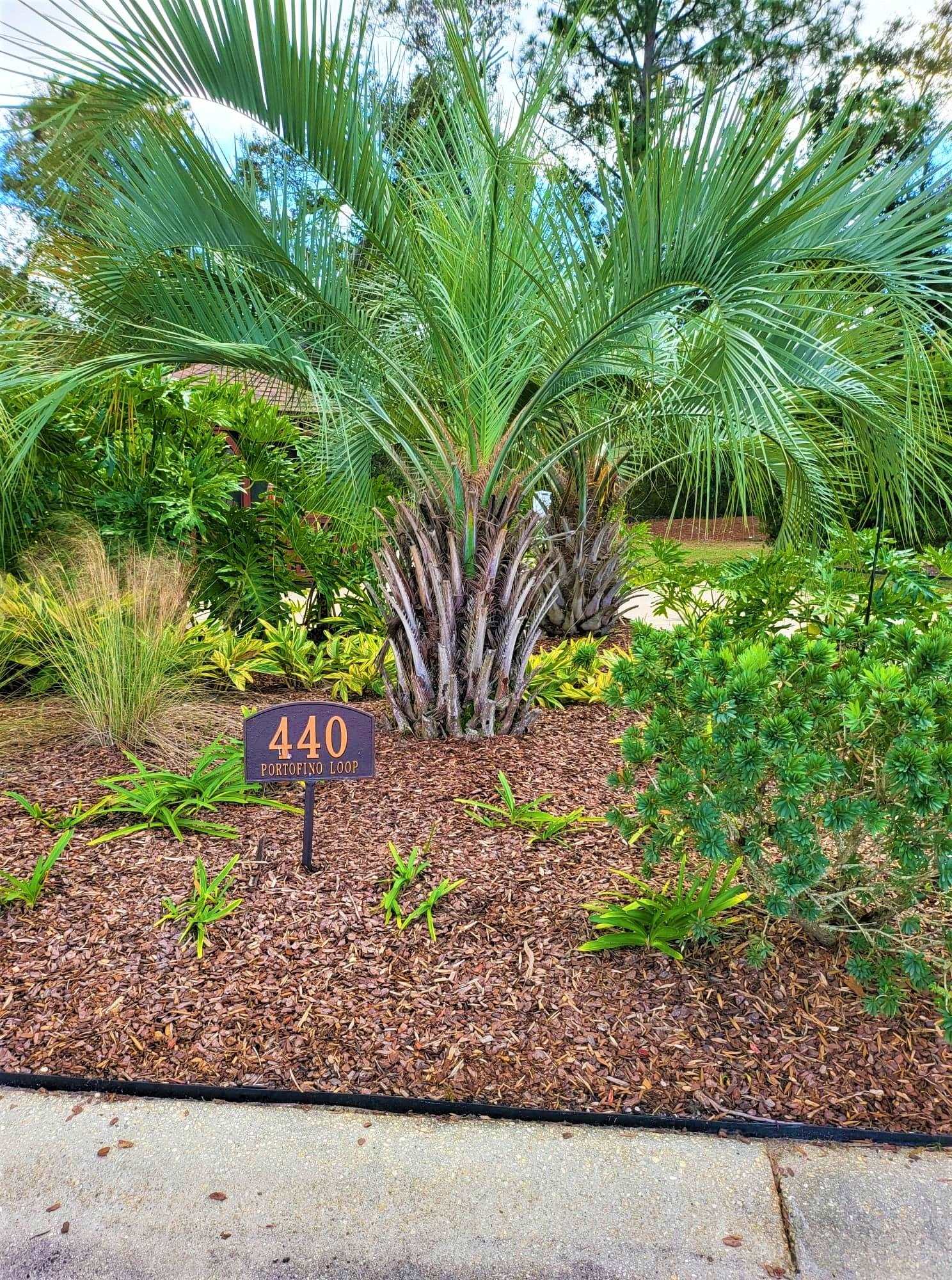 440 Portofino Loop Foley, AL 36535 - Photo 8 of 18