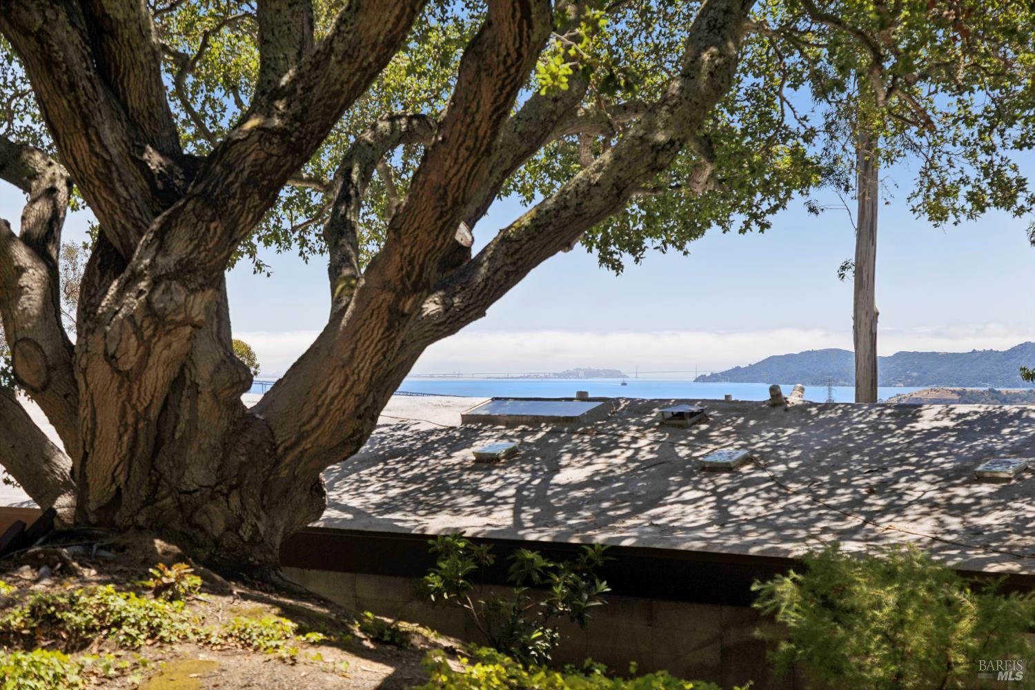 335 Highland Avenue San Rafael, CA 94901 - Photo 82 of 98