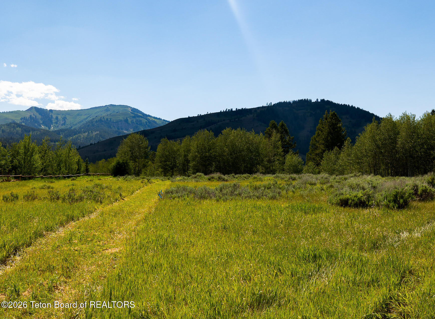 985 Elk Ridge Road Jackson, WY 83001 - Photo 2 of 19 Wolf Mountain Views