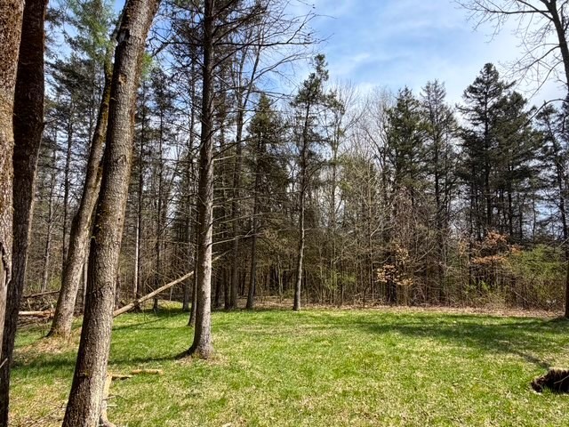 3453 Dutton Loop Clarksville, NY 14727 - Photo 24 of 50