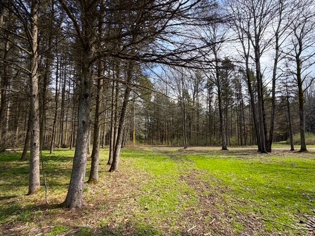 3453 Dutton Loop Clarksville, NY 14727 - Photo 26 of 50