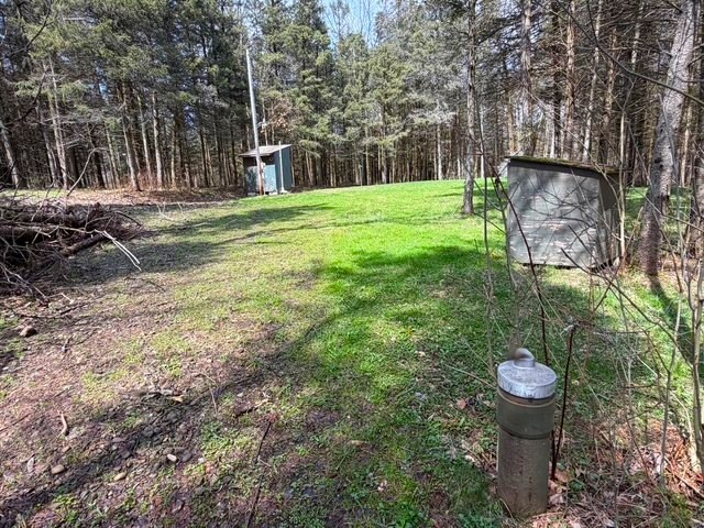 3453 Dutton Loop Clarksville, NY 14727 - Photo 29 of 50