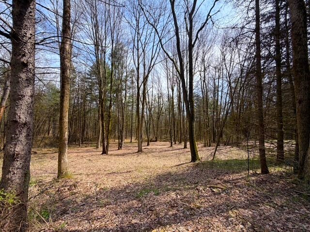3453 Dutton Loop Clarksville, NY 14727 - Photo 31 of 50
