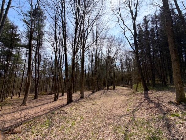 3453 Dutton Loop Clarksville, NY 14727 - Photo 32 of 50