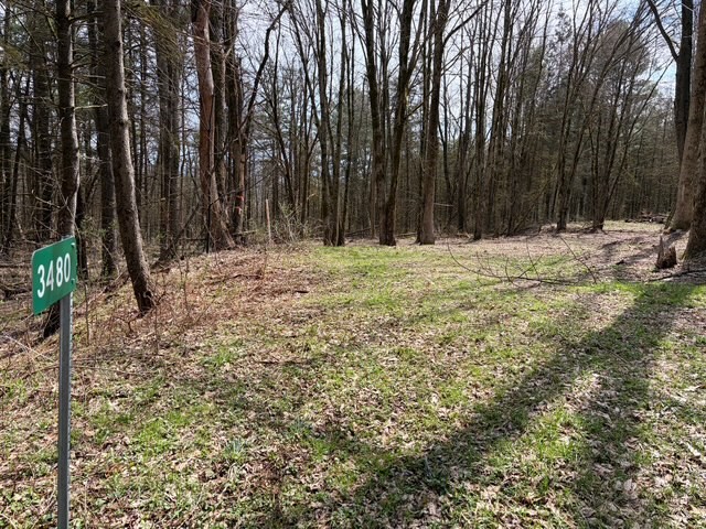 3453 Dutton Loop Clarksville, NY 14727 - Photo 34 of 50