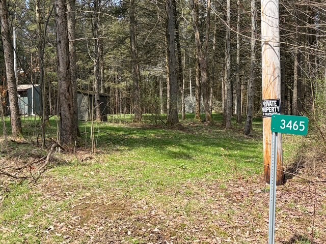3453 Dutton Loop Clarksville, NY 14727 - Photo 35 of 50