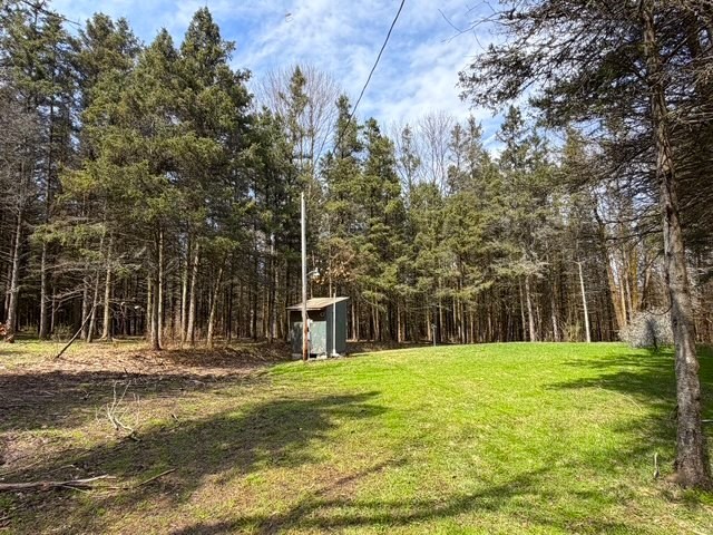 3453 Dutton Loop Clarksville, NY 14727 - Photo 38 of 50