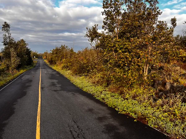a view of a pathway both side of yard next to a road