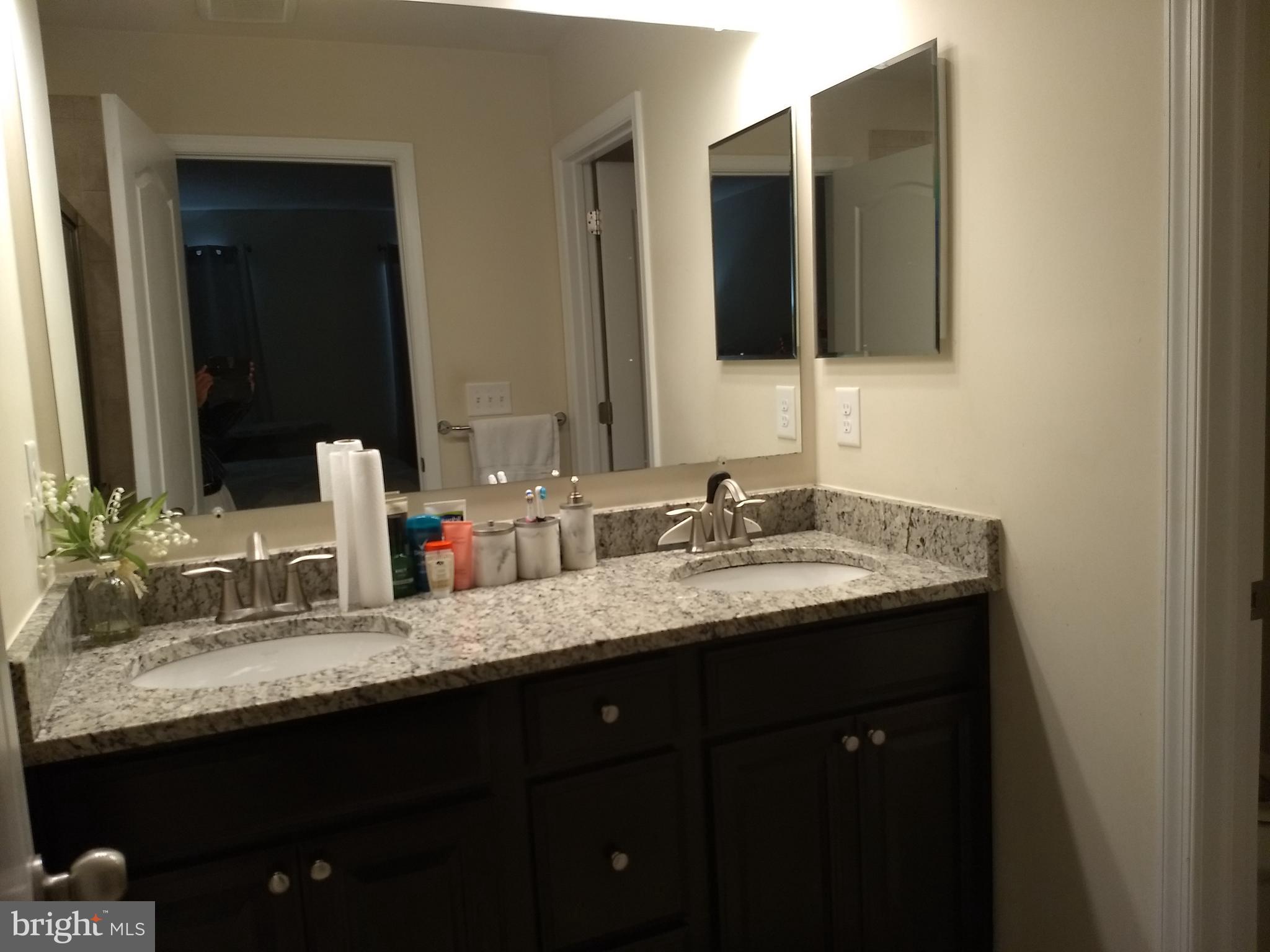 8010 Ravenclaw Road Elkridge, MD 21075 - Photo 17 of 30 Raised Dual Vanities in owners bath