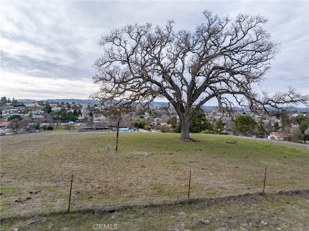 2450 Golden Hill Road Paso Robles, CA 93446 - Photo 10 of 24