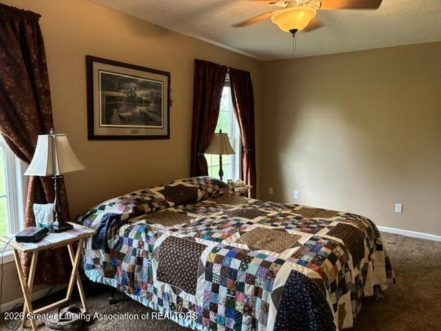 2230 West Mead Road St. Johns, MI 48879 - Photo 12 of 29 IMG_5981