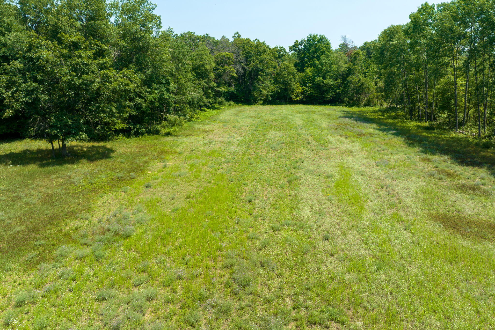 9746 North Maple Hill Road Morley, MI 49336 - Photo 32 of 41 31-web-or-mls-DJI_0275