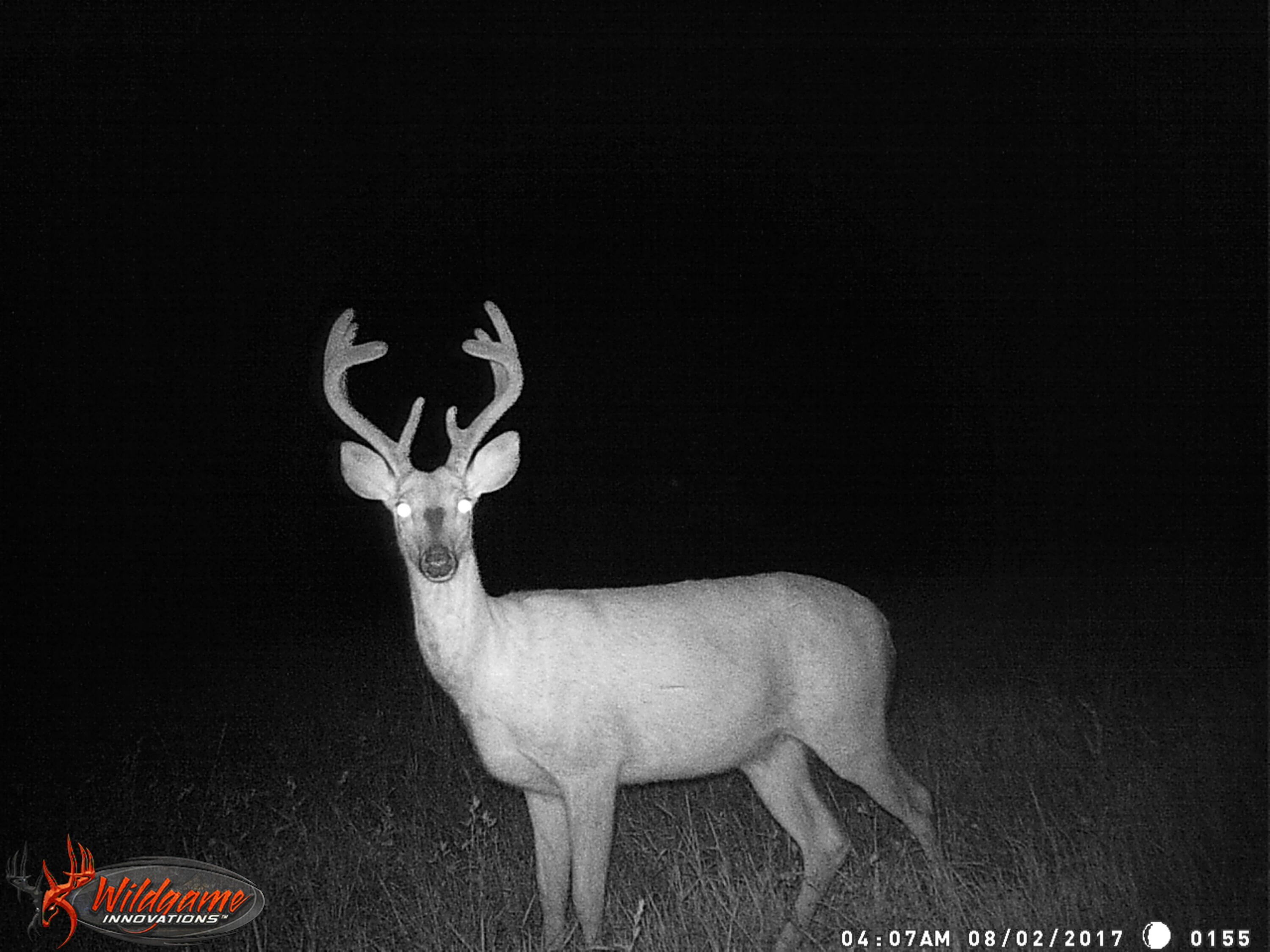 9746 North Maple Hill Road Morley, MI 49336 - Photo 34 of 41 WGI_0155