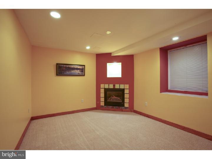 243 Log Cabin Road Perkasie, PA 18944 - Photo 14 of 25 Basement - Finished