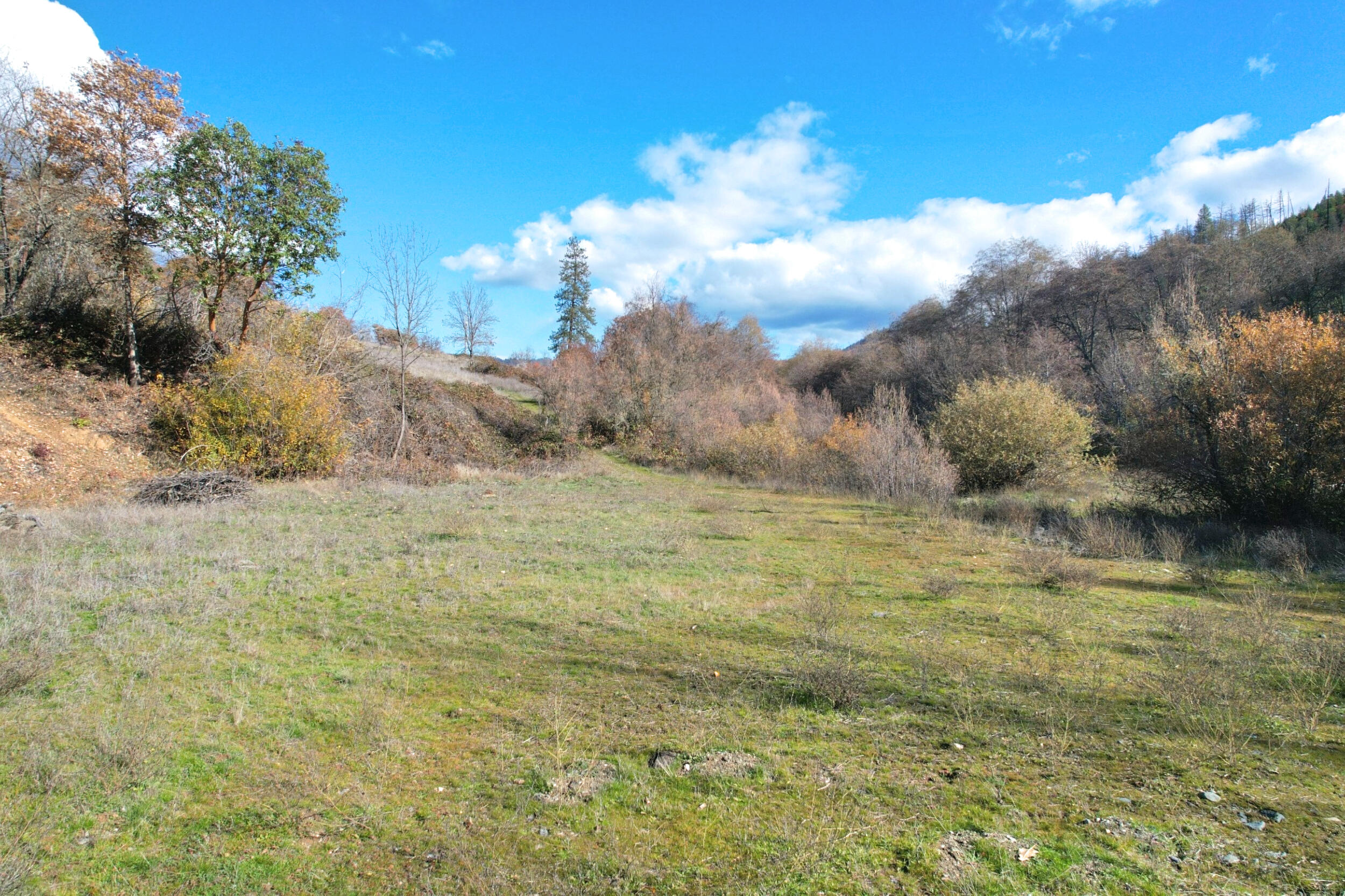 North Applegate Road Jacksonville, OR 97530 - Photo 18 of 51 home site area looking east