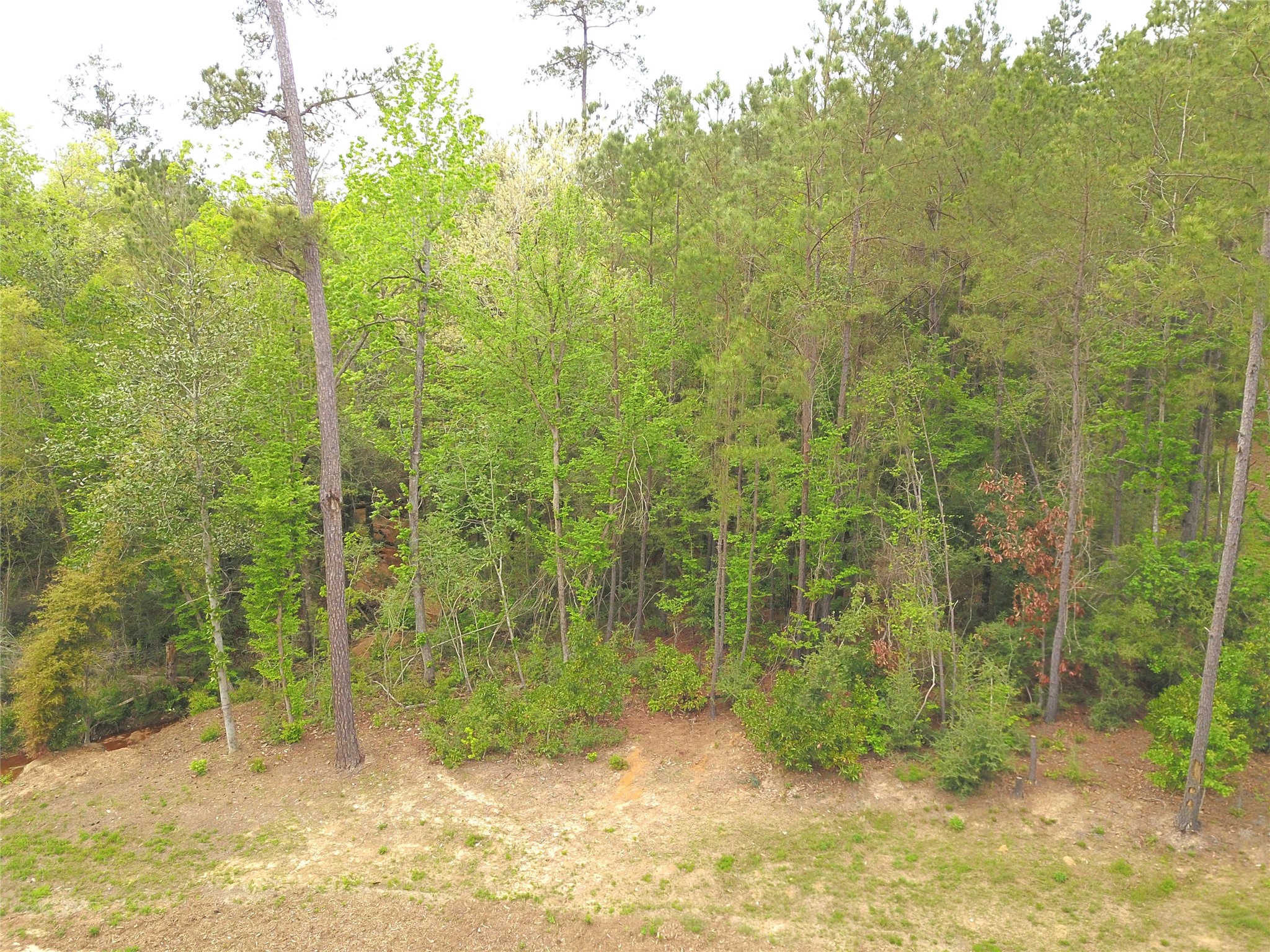 12775 Oak Barrel Road Willis, TX 77378 - Photo 4 of 11