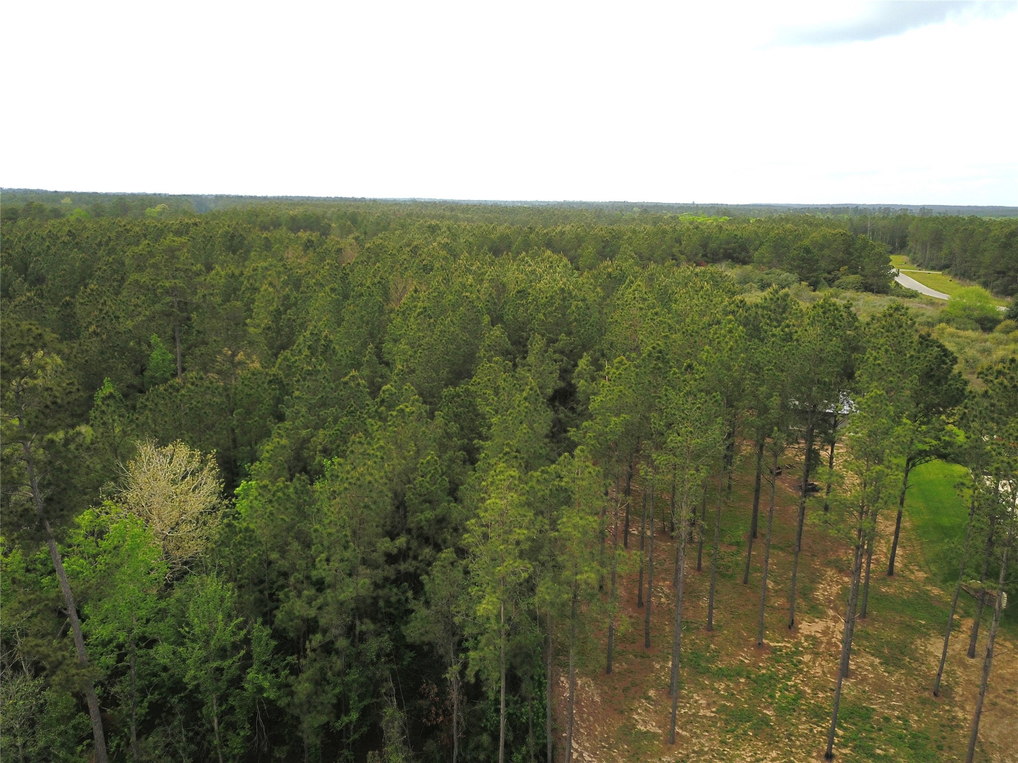 12775 Oak Barrel Road Willis, TX 77378 - Photo 5 of 11