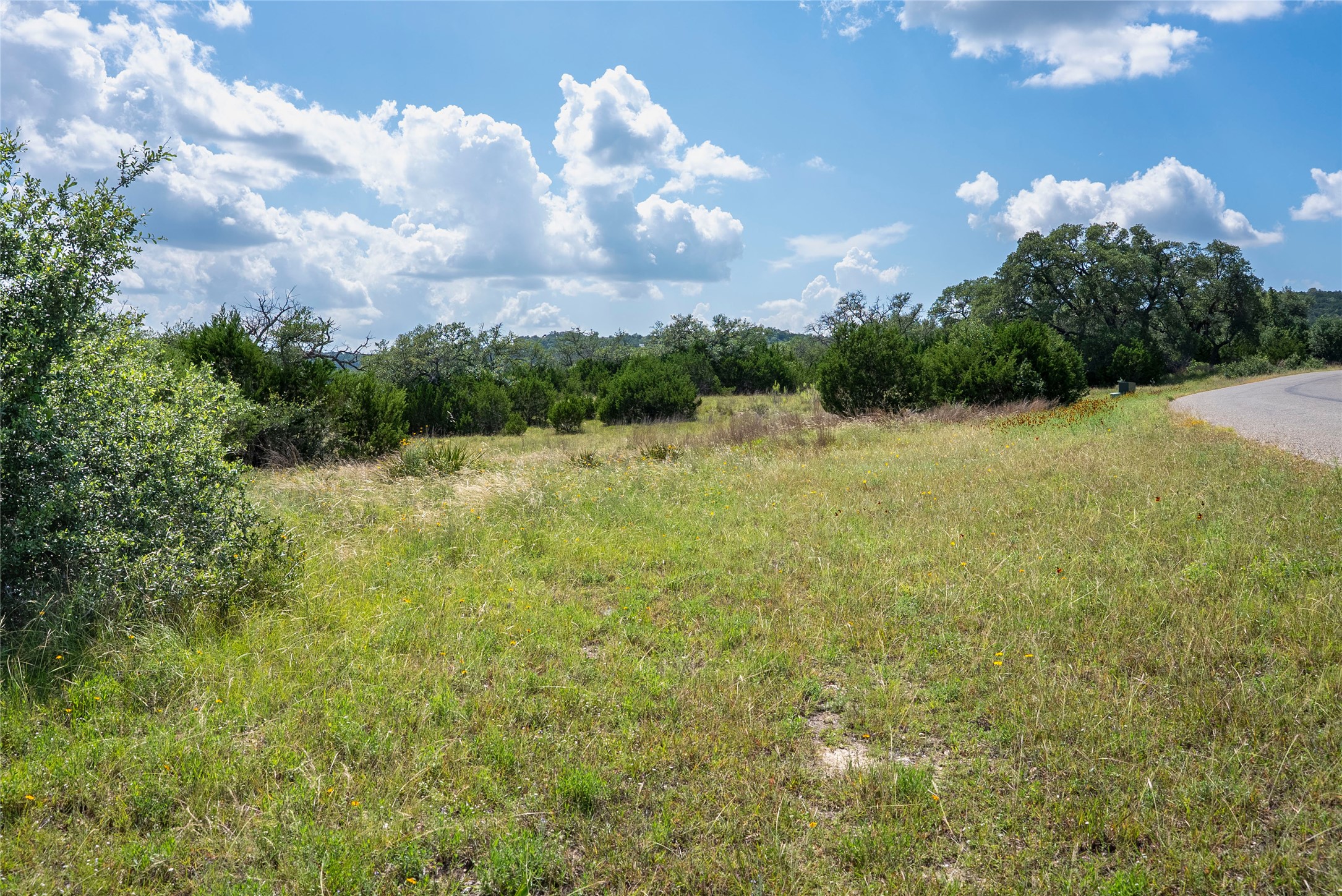 717 Bluff Ridge Trail Blanco, TX 78606 - Photo 14 of 21 A verdant, undeveloped parcel with mature trees and native flora, offering serene natural surroundings.