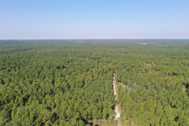 a view of a field with an ocean