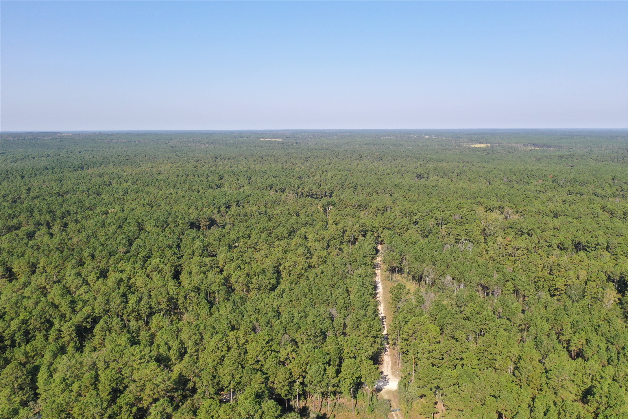 a view of a field with an ocean