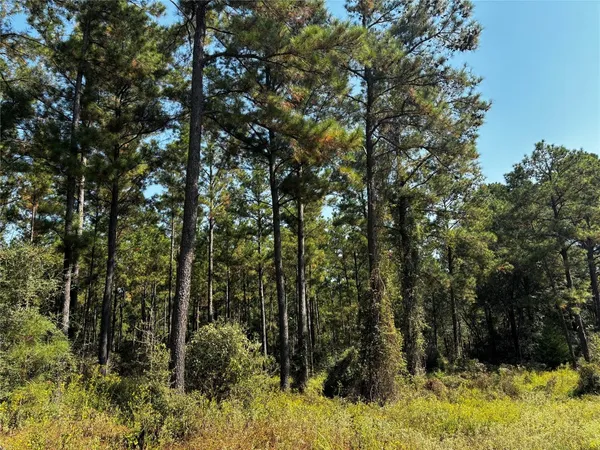 $1,259,915 | 2 Trinitylady Park Road, Trinity, TX 75862