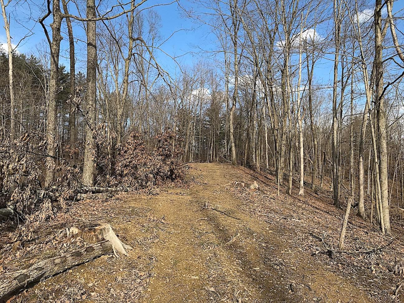0 Beach Road Glouster, OH 45732 - Photo 12 of 36