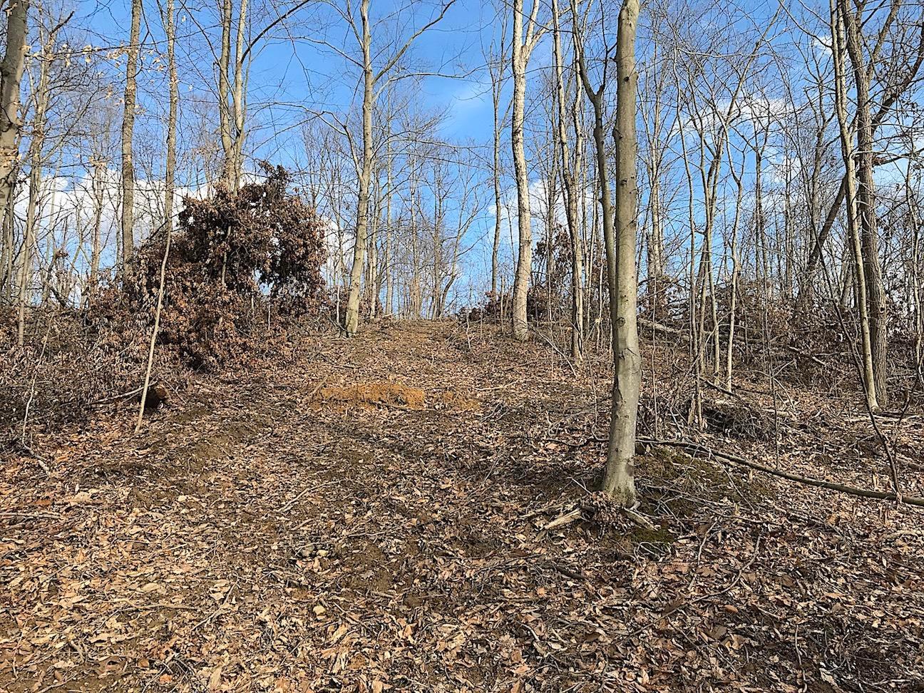 0 Beach Road Glouster, OH 45732 - Photo 17 of 36