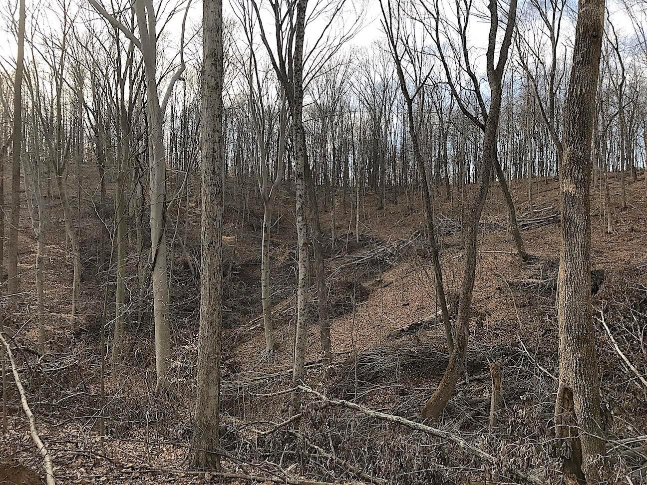 0 Beach Road Glouster, OH 45732 - Photo 24 of 36