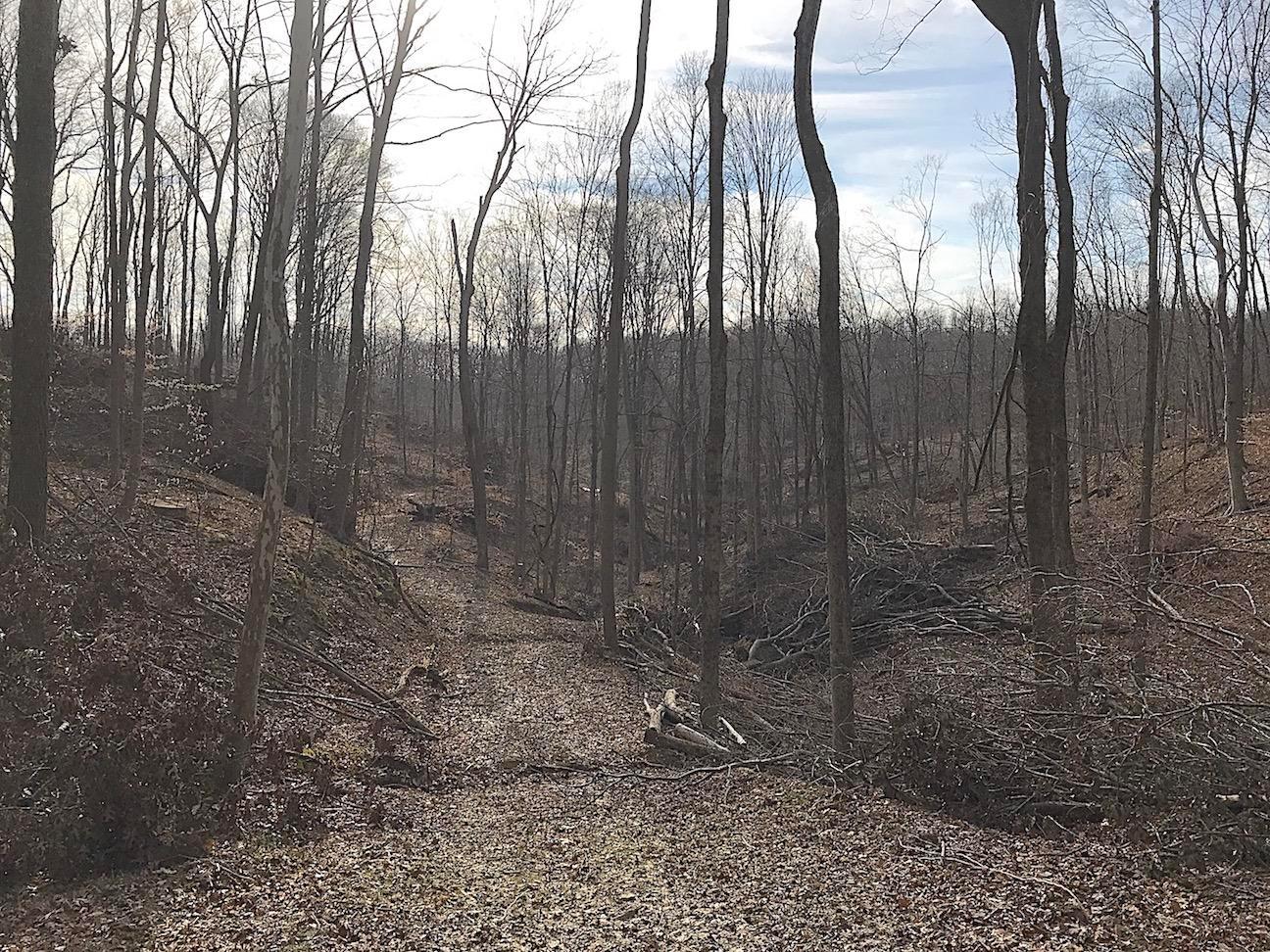 0 Beach Road Glouster, OH 45732 - Photo 29 of 36