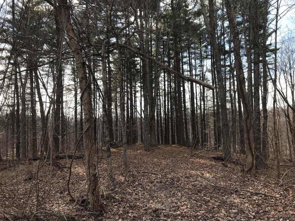 0 Beach Road Glouster, OH 45732 - Photo 32 of 36