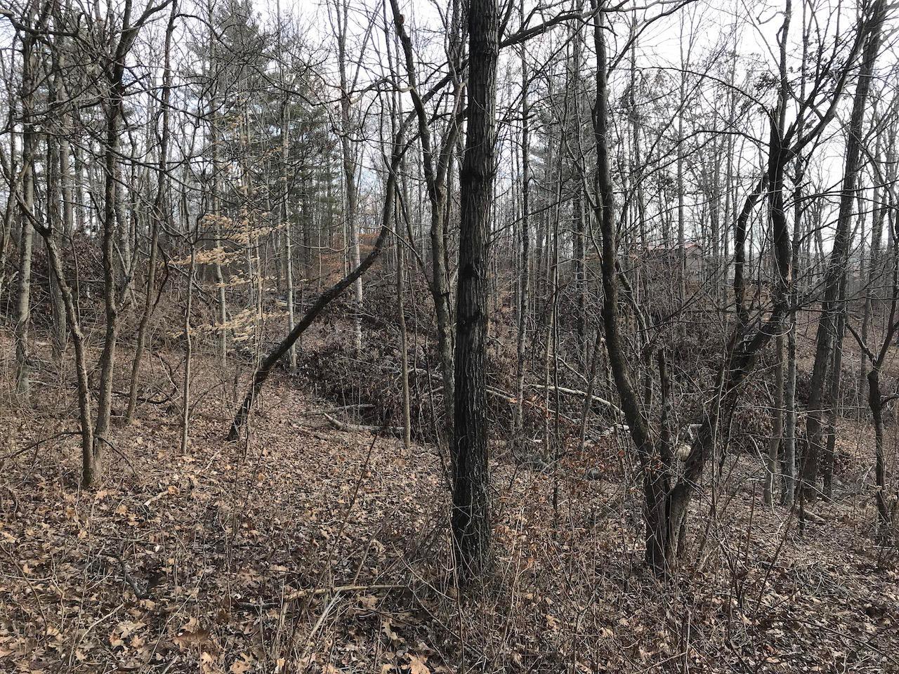 0 Beach Road Glouster, OH 45732 - Photo 33 of 36