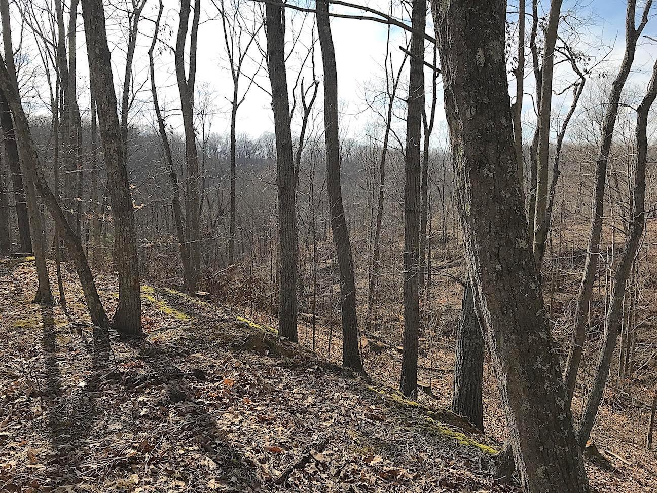 0 Beach Road Glouster, OH 45732 - Photo 6 of 36