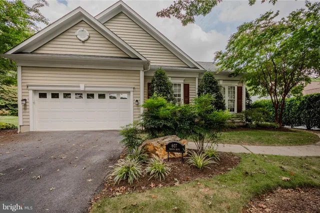 a view of backyard with table and chairs and potted plants