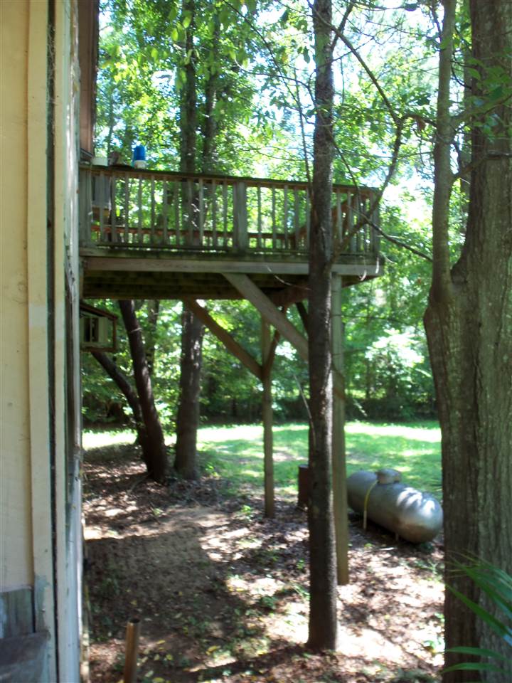 8866 Scott Tower Road Tallahassee, FL 32312 - Photo 11 of 25 Gallery Image 11
