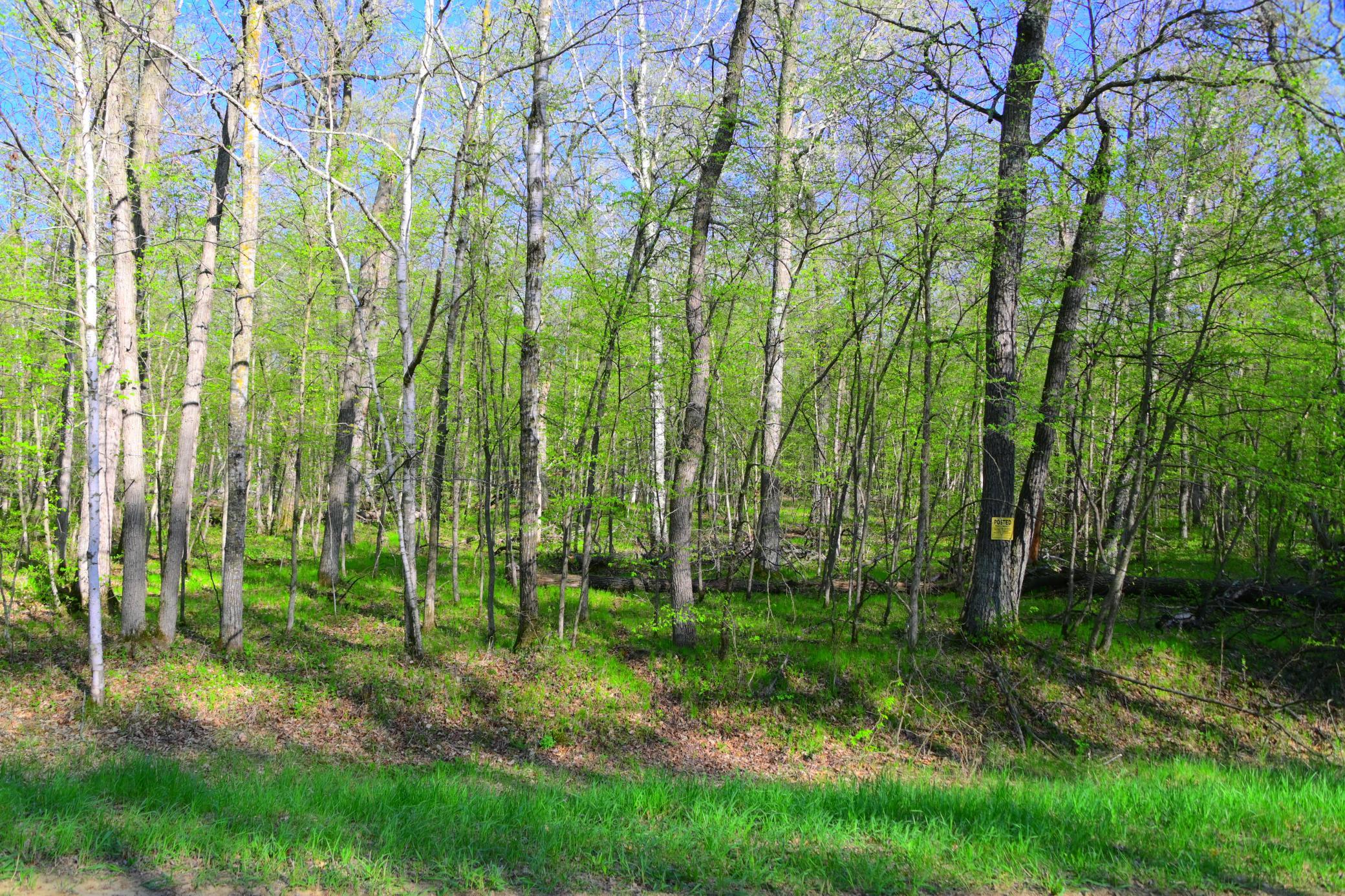 27152 Ode Circle Browerville, MN 56438 - Photo 11 of 19