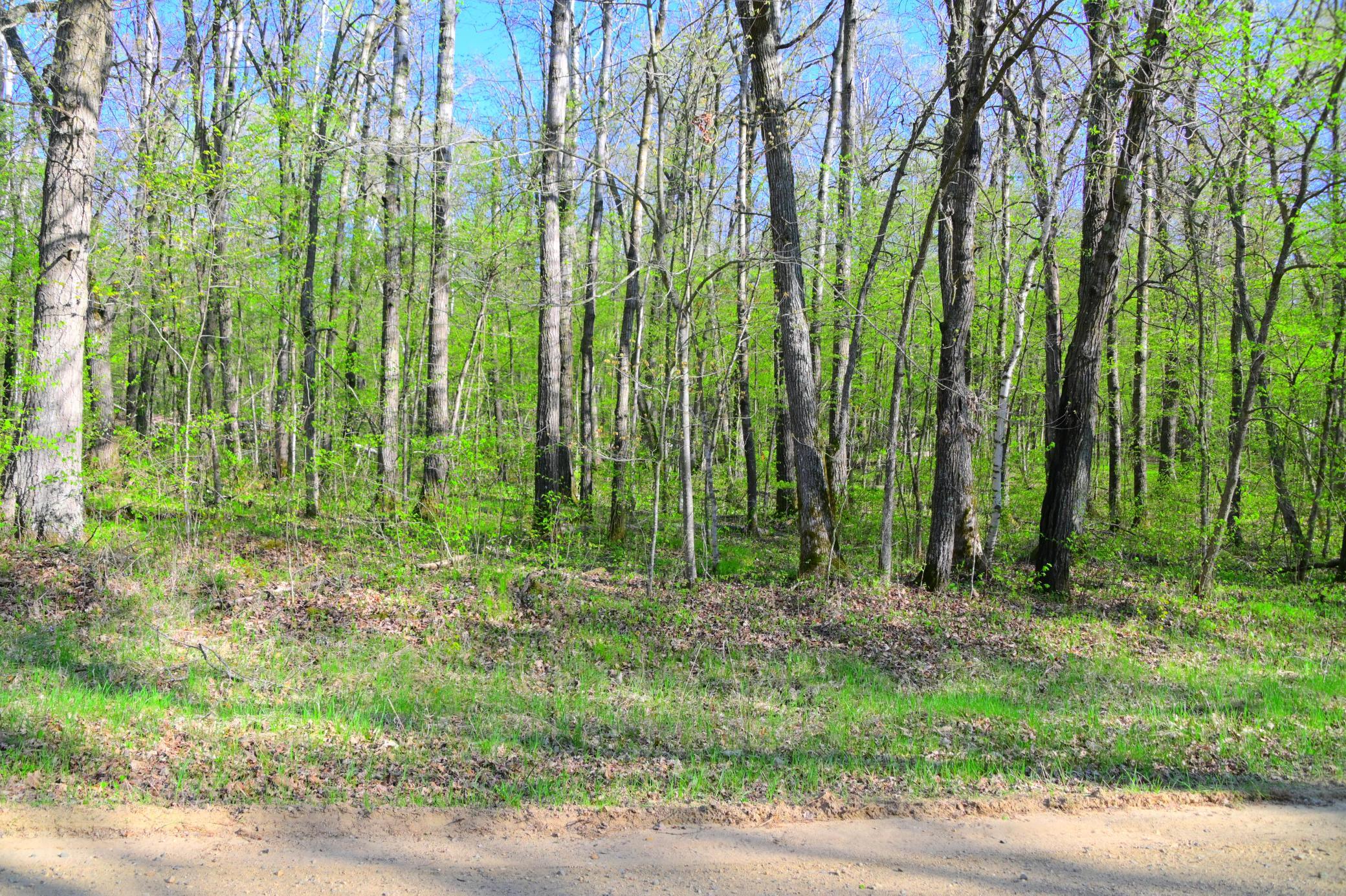 27152 Ode Circle Browerville, MN 56438 - Photo 7 of 19