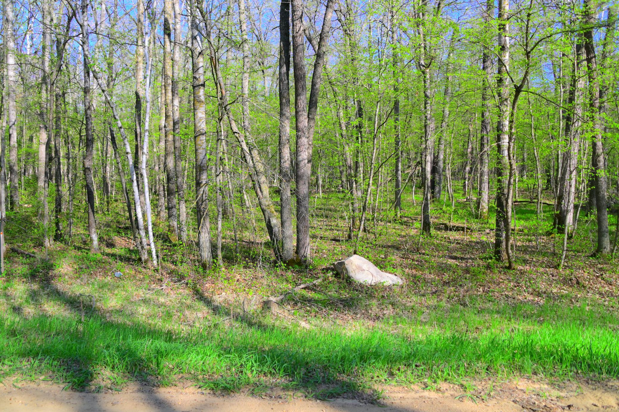 27152 Ode Circle Browerville, MN 56438 - Photo 9 of 19