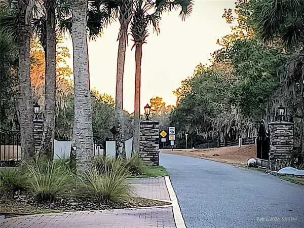 a view of a park with palm trees