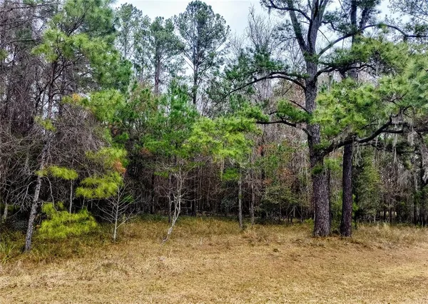 a backyard of a house with lots of trees