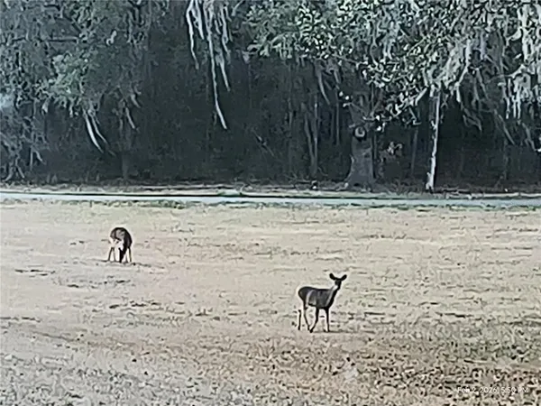 a view of a lake with a bench and trees
