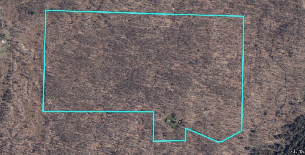 537 Maple Road West Union, NY 14877 - Photo 5 of 50
