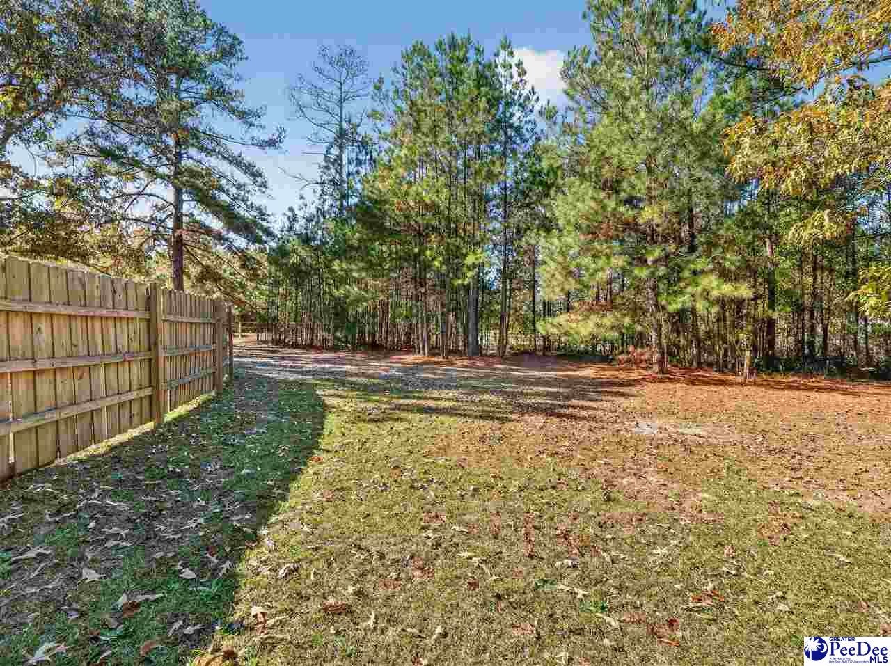 1155 Clyde Road Hartsville, SC 29550 - Photo 56 of 61 Gallery Image 56