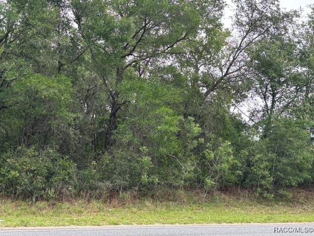 93 North Croft Avenue Inverness, FL 34453 - Photo 6 of 8