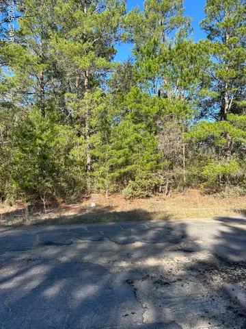 $19,500 | Lot 16 Pinehurst Avenue, Unit LOT 1, Chipley, FL 32428
