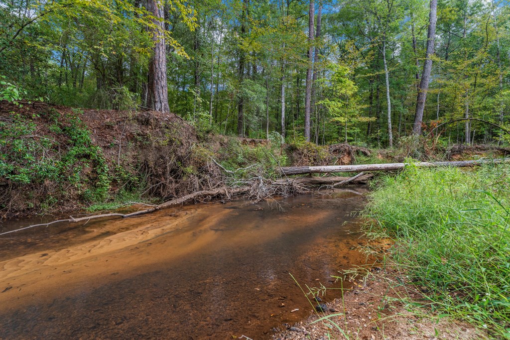 490 Barnes Mill Road Hamilton, GA 31811 - Photo 45 of 48 Gallery Image 45