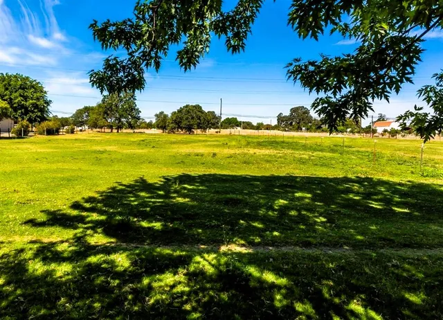 a view of a yard with large trees
