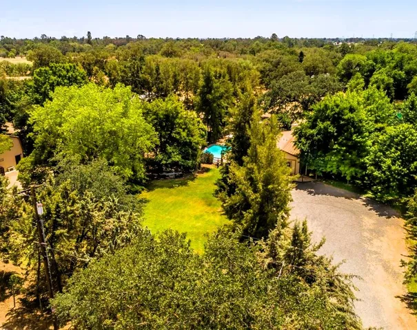 a view of a yard with plants